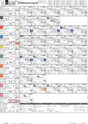 電子版